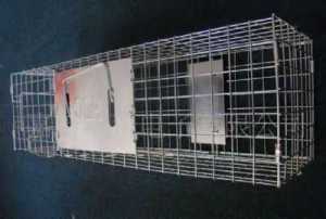 Galvanized Squirrel Trap Cage, Cat / Rabbit/ Dog/Animal Trap Cage