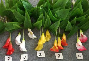 High Quality of Artificial Flowers Calla Lily