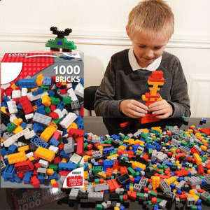 Blocks Kid′s ABS Plastic 1000 PCS Building Blocks Toy (10198643)