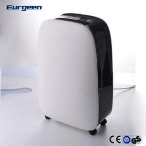 Low Price Ce/GS Certification 10L / Day Home Dehumidifier
